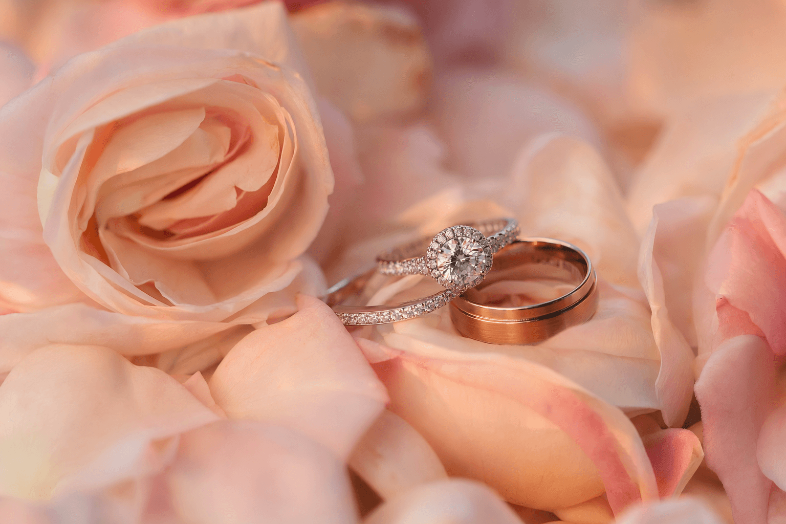 Top Wedding Venues in Orlando 2026