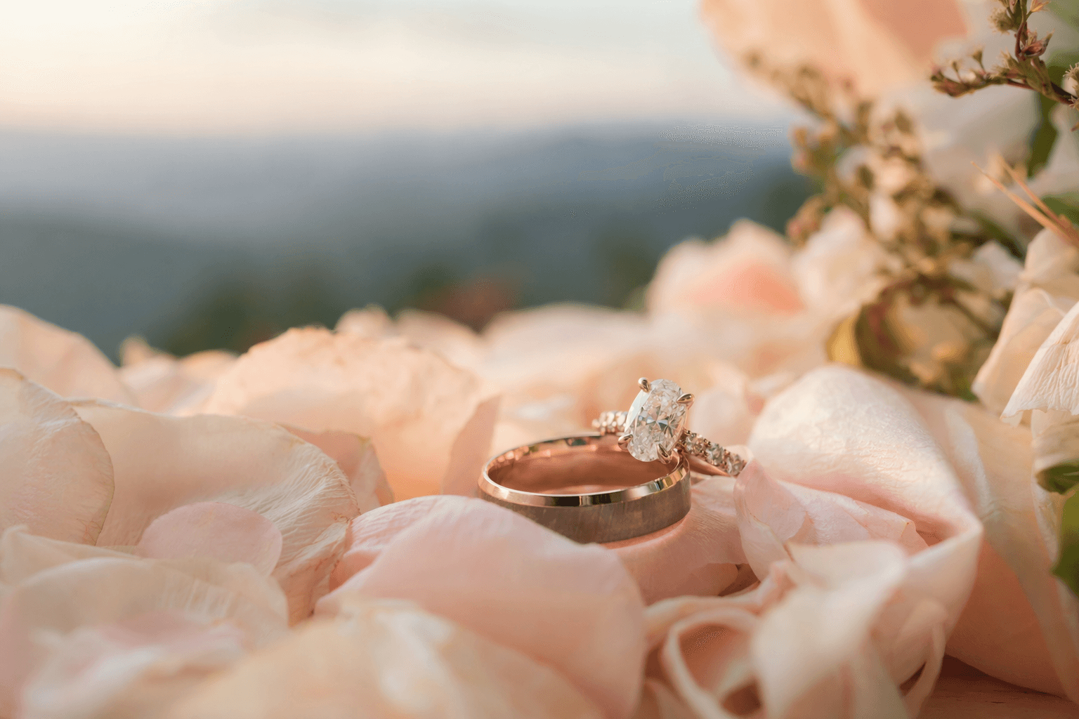 Top Wedding Venues in Asheville 2026