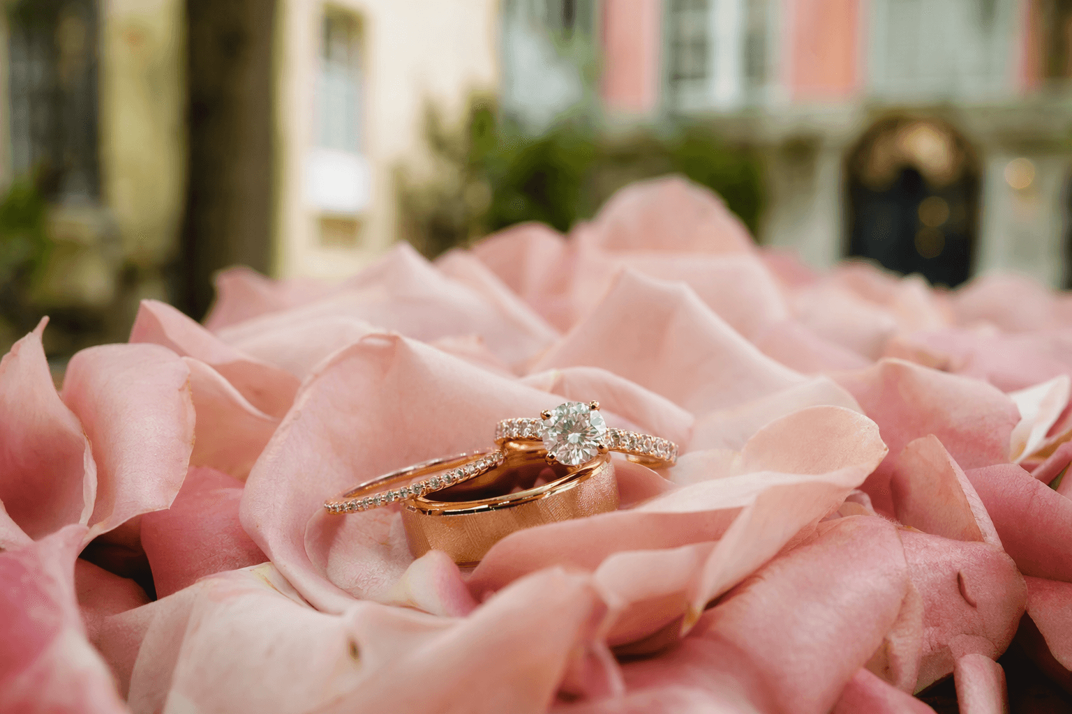 Top Wedding Venues in Charleston 2026