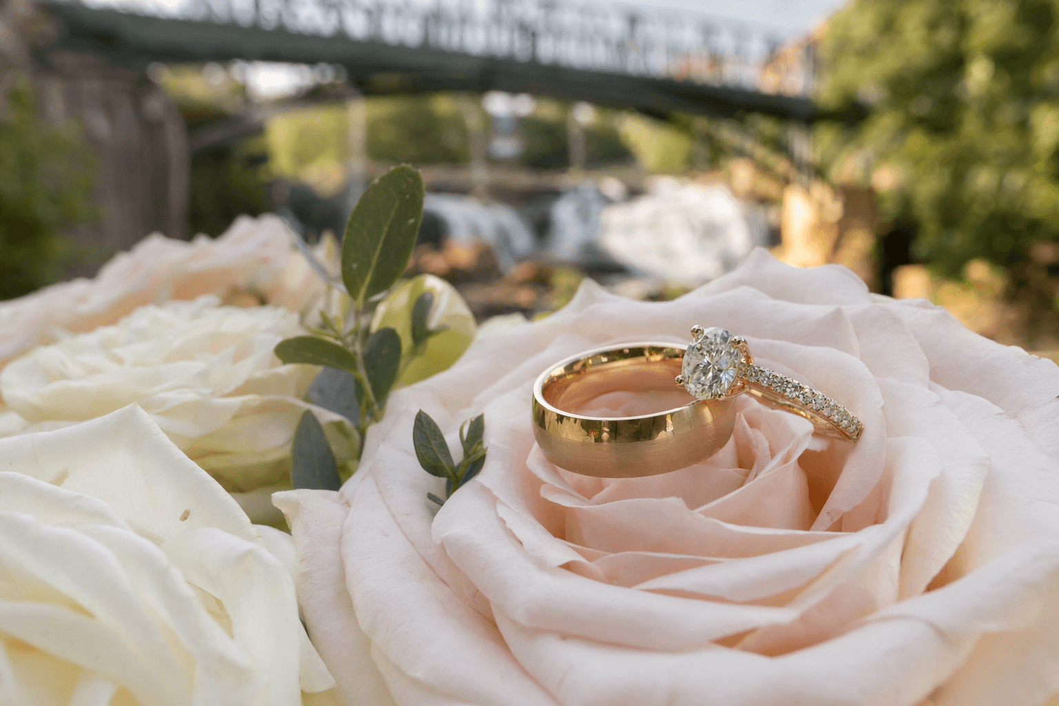 Top Wedding Venues in Greenville 2026