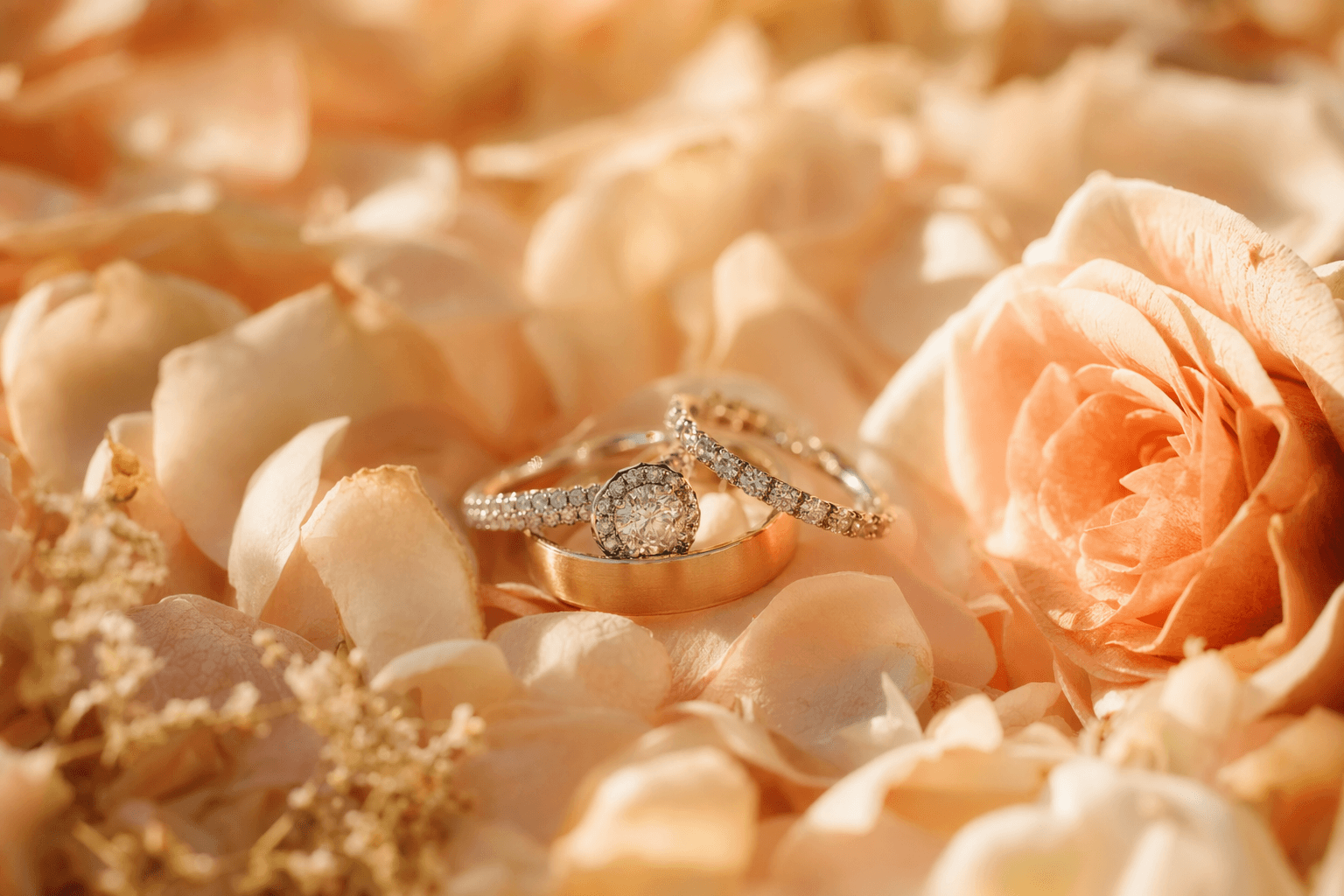How to Plan a Luxury Wedding in Atlanta