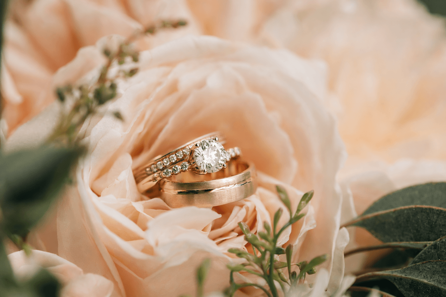 Top Wedding Venues in Raleigh 2026