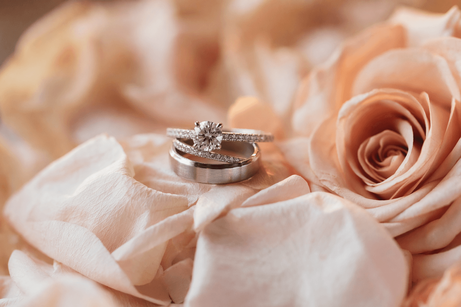 Top Wedding Venues in San Antonio 2026