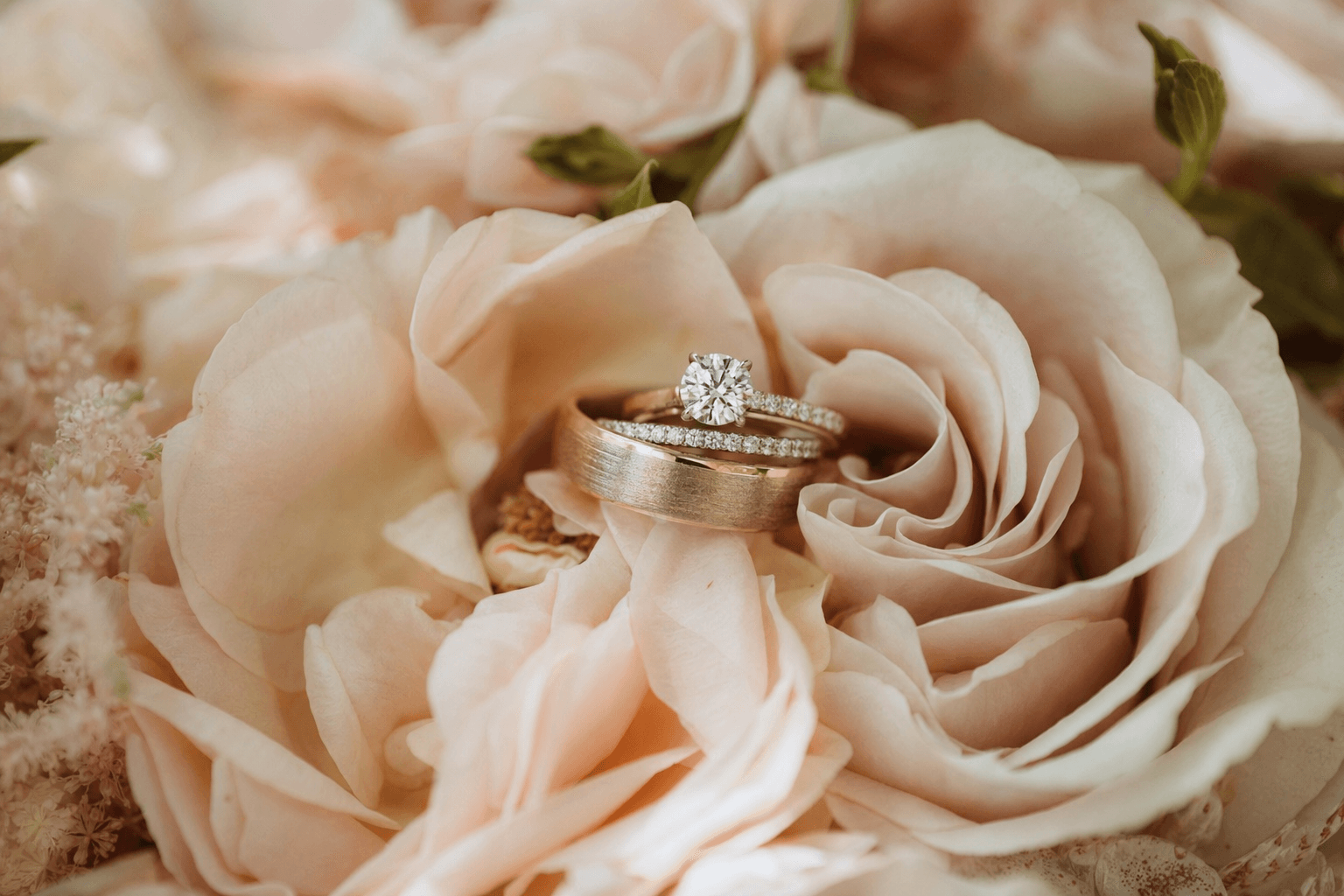 Top Wedding Venues in Savannah 2026